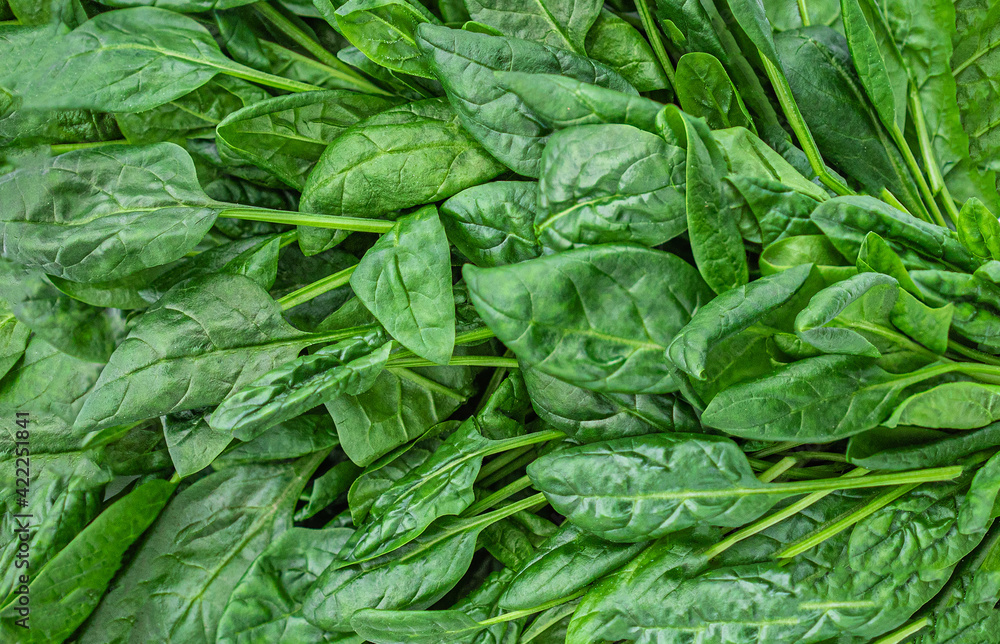 Spinach leaves texture as a background. Fresh green spinach leaves closeup Spinach leaves texture as a background. Fresh green spinach leaves closeup
