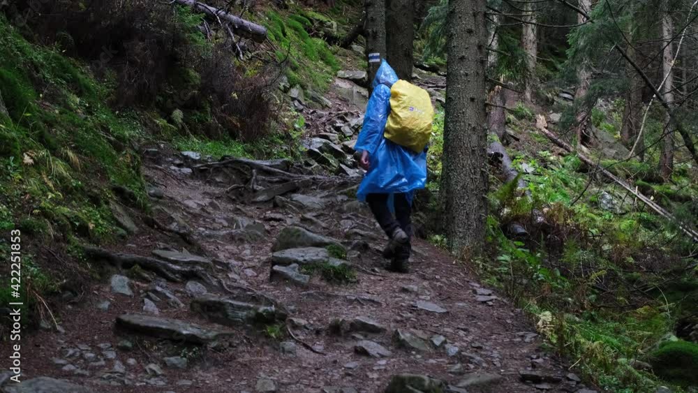 Traveller men walking in forest in rainy day. Following from the guy in blue raincoat with yellow backpack walk through the forest in Carpathian Mountains. Enjoying nature and happy life, adventure. Traveller men walking in forest in rainy day. Following from the guy in blue raincoat with yellow backpack walk through the forest in Carpathian Mountains. Enjoying nature and happy life, adventure.