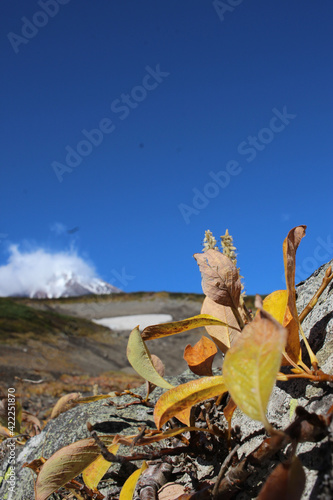 Trekking around volcanoes of Kamchatka in fall season 