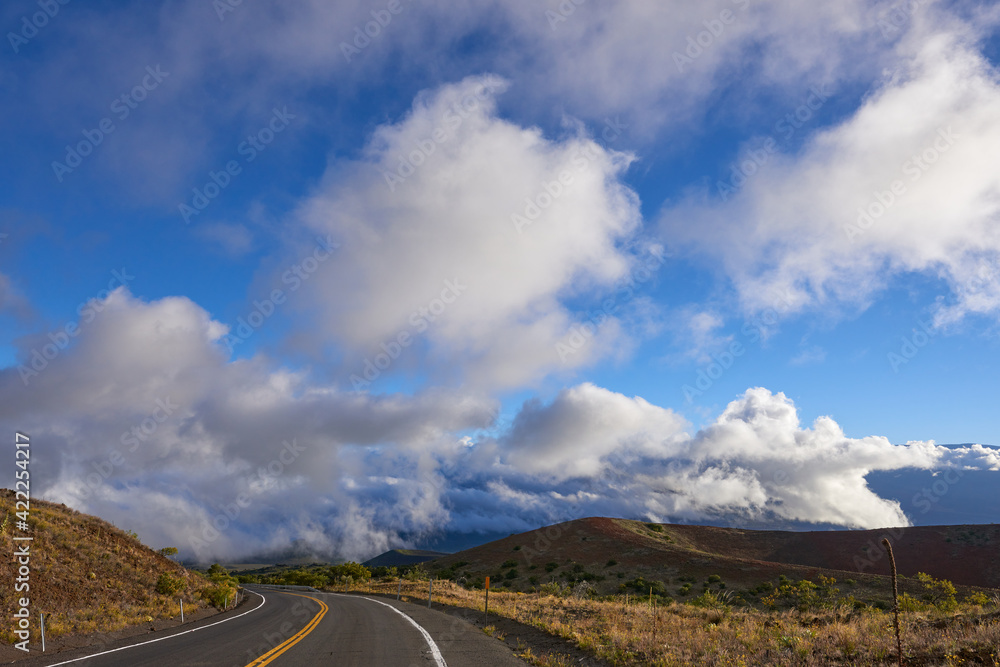 Landscape with deep blue evening sky and clouds from the road in Mauna Kea State Park in Hawaii.