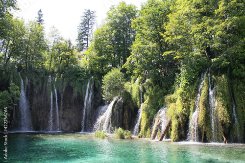 Waterfall  Plitvice Lakes  Croatia  Europe. Ponds and falls in the green vegetation