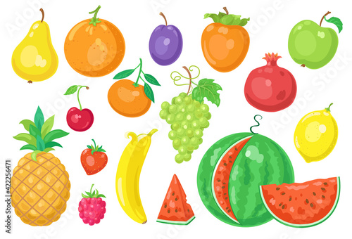 Collection of colorful fruits and berries. Isolated on white background. Vector illustration.