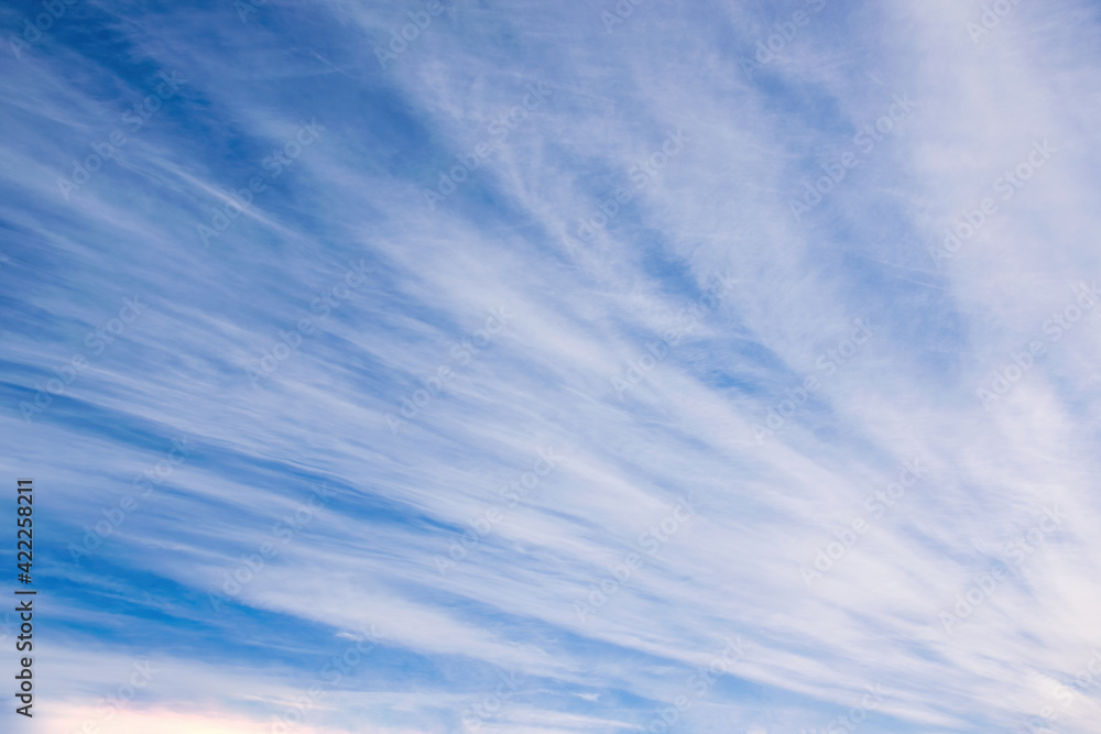 Fototapeta premium Beautiful sky background with picturesque cirrus clouds