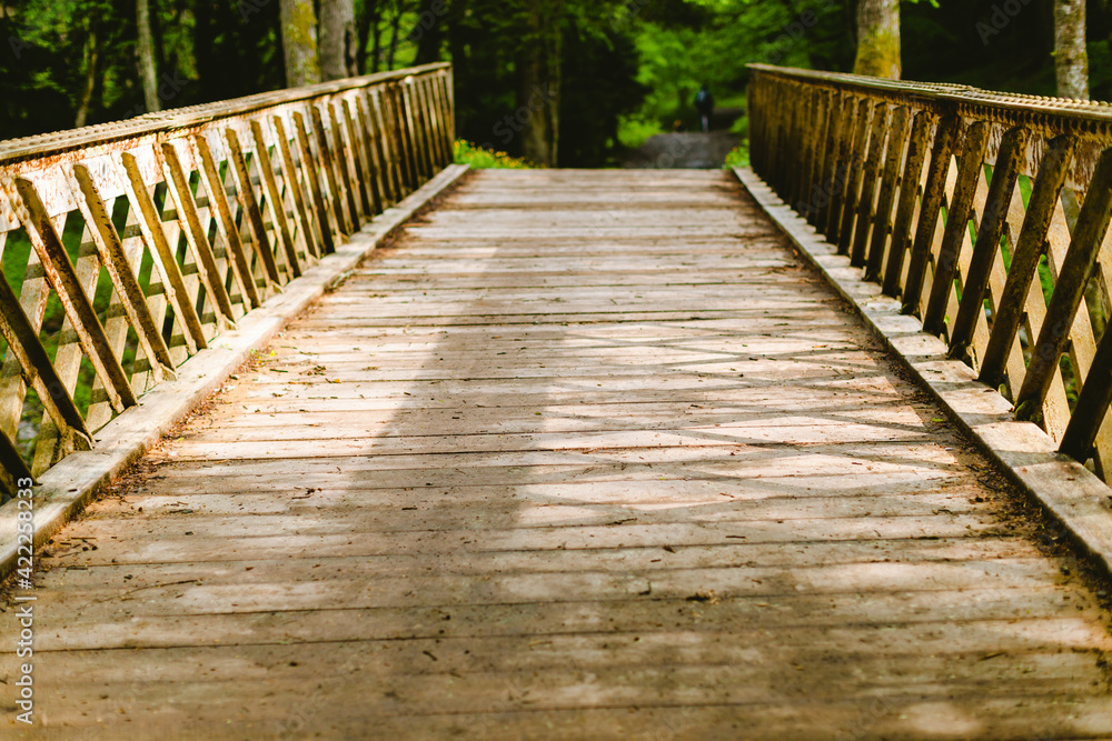 Landscape photo of wooden bridge path over the forest stream on sunrise spring morning. Beautiful sunny and calm scenic view on old wooden bridge. Sunshine scenic photo with copy space