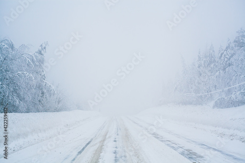 Winter blizzard in the driving north empty road landscape with white trees and snow with fog in the background. Road trip concept. Trees and roadside in snow. Christmas photo with copy space © Maria Petrish
