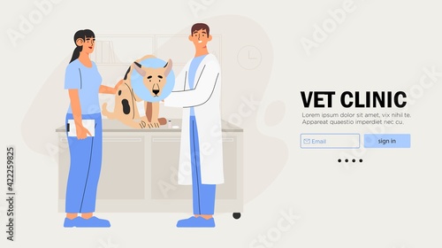Veterinarians doctor and a nurse examining dog. Creative banner, flyer, landing page or a blog post for a vet clinic, veterinary office or hospital.