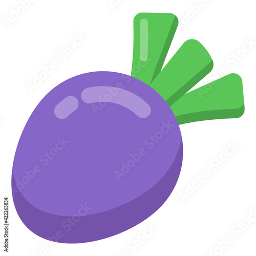 
Turnip flat modern icon, organic and healthy food 

