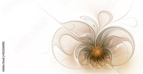 Abstract fractal flower on white background