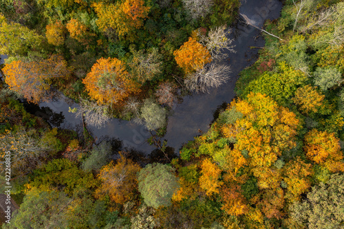 aerial top down view of colorful autumn forest and river