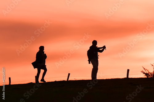 people taking photos in the meadow  sunset in spring season