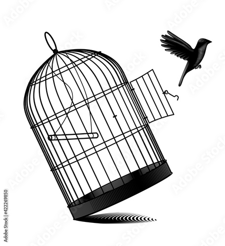 Engraved vintage drawing of a fallen birdcage and a black bird flying away isolated on white