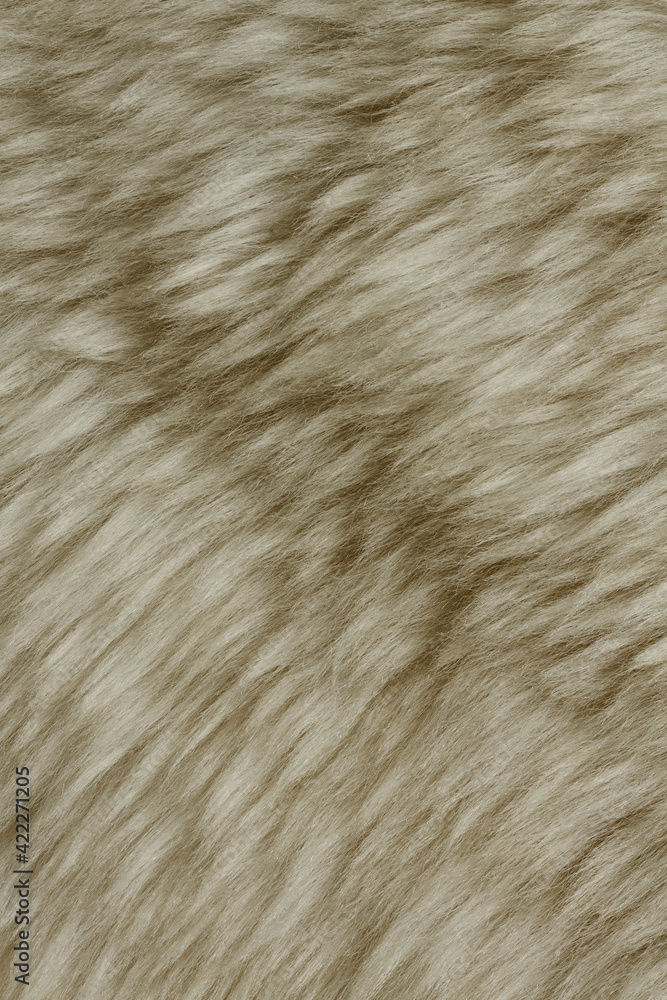 Fototapeta premium close up of fur texture