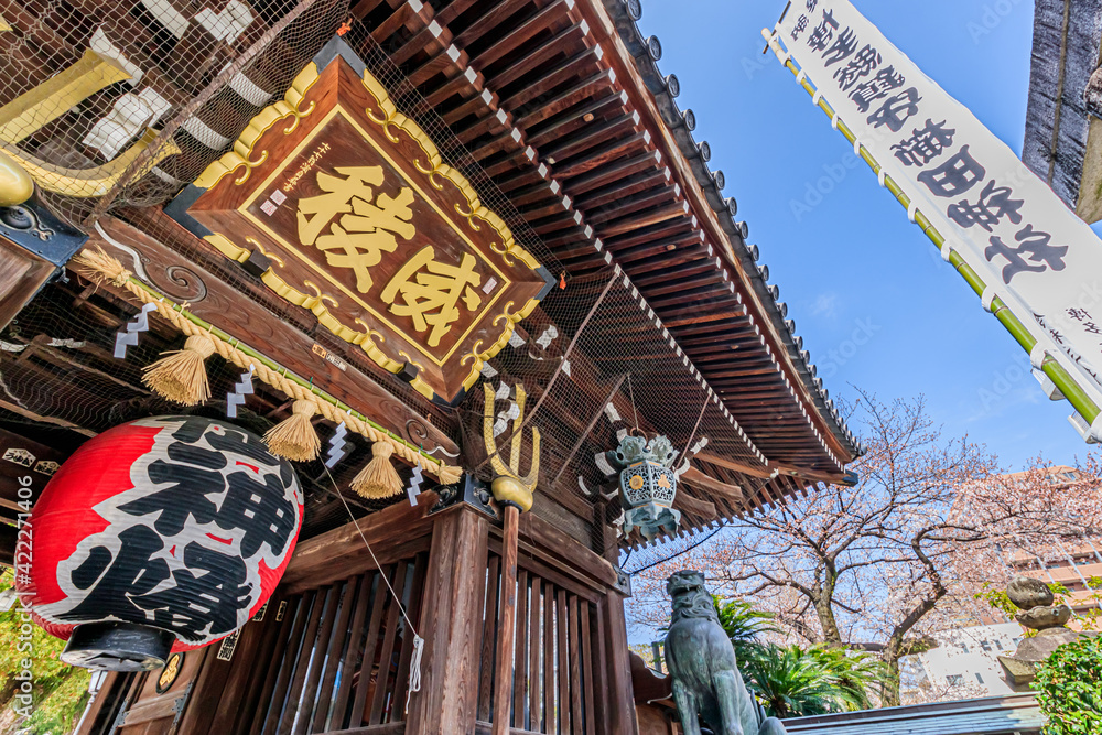 春の櫛田神社 神門 福岡県博多区 Kushida Shrine in spring Fukuoka-ken Hakata-ku 春の櫛田神社 神門 福岡県博多区 Kushida Shrine in spring Fukuoka-ken Hakata-ku