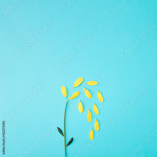 Falling petals on blue background. Copy space.