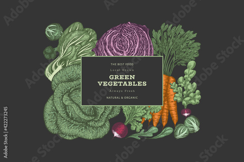 Hand drawn vintage color vegetables design. Organic fresh food vector banner template. Retro vegetable background. Traditional botanical illustrations.
