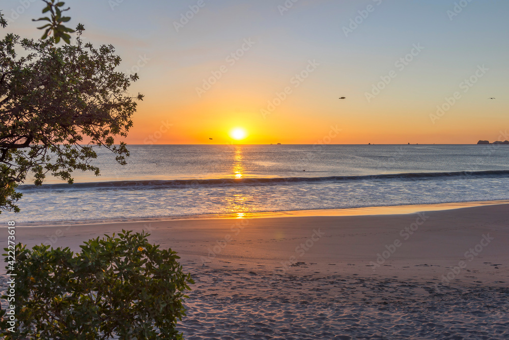Sunset in beach Playa Flamingo in Guanacaste, Costa Rica. Wild beautiful birds - pelicans fishing in the ocean. Central America.