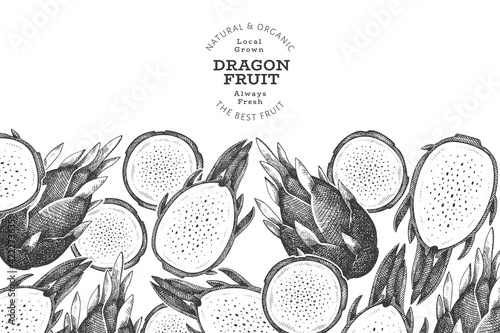 Hand drawn dragon fruit design template. Organic fresh food vector illustration. Retro pitaya fruit banner.