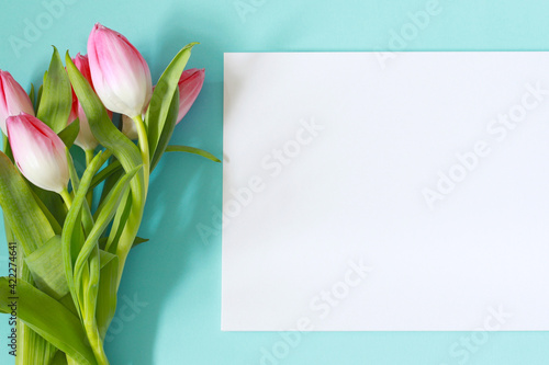 Fototapeta Naklejka Na Ścianę i Meble -  mockup for march 8, blank sheet of paper for message with pink tulips, empty paper page on pastel blue background with flowers
