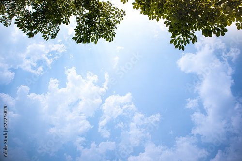 Blue sky white clouds floating in the sky and   The light from the sun shines through the beautiful clouds in summer. for background concept.
