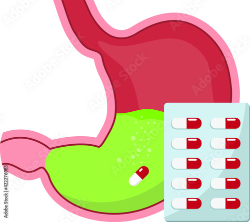 Examination of the stomach. Stomach health or disease. Doctor's conclusion.