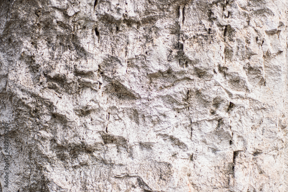 texture of a light gray stone with a porous structure, a fragment of an old slab of a building cladding, a gray stone surface for inserting text