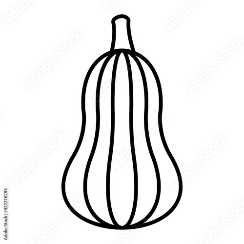 Vector Squash Outline Icon Design
