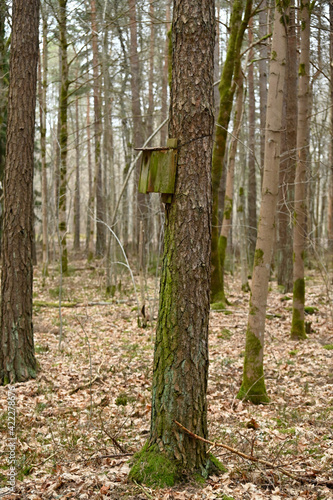 old birdhouse nesting box hanging in forest