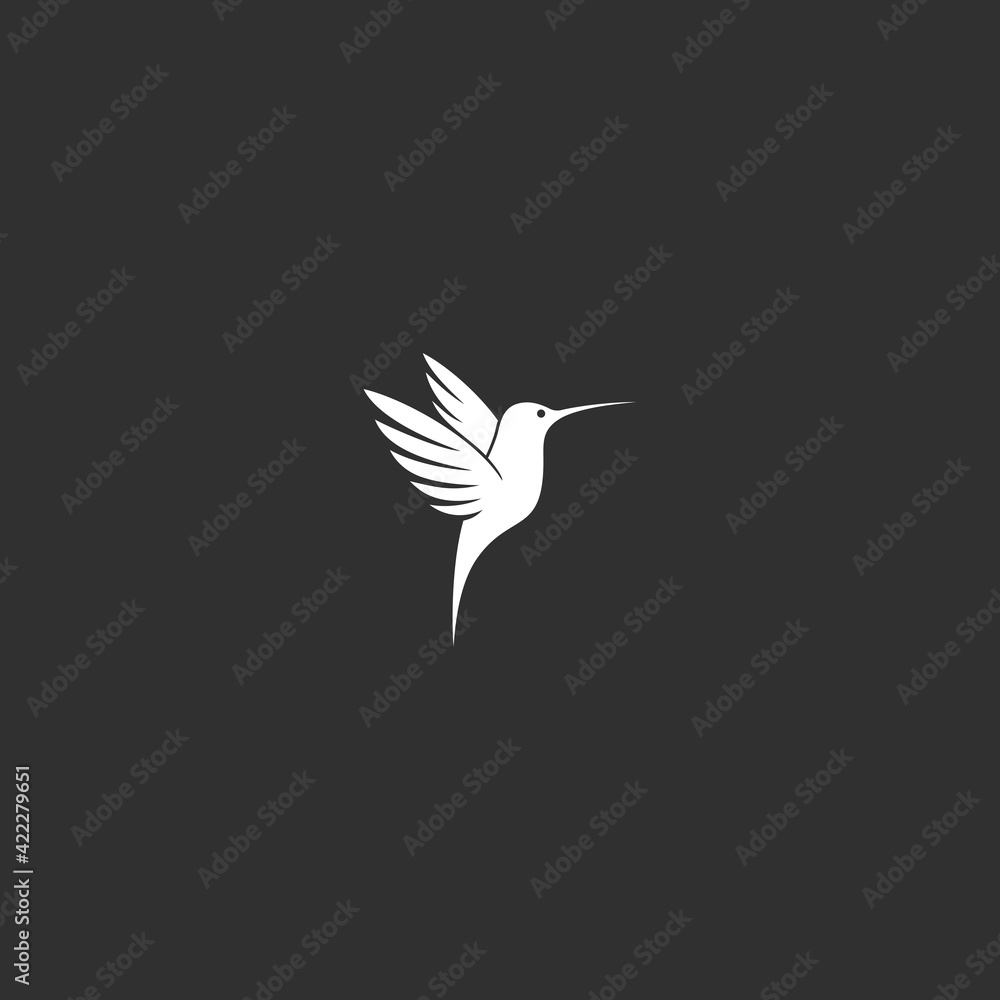 Obraz premium white hummingbird vector