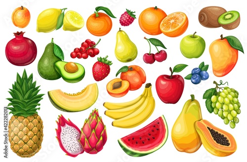 Berries and fruits vector illustration in cartoon style. Pitaya, pomegranate, raspberries, strawberries, grapes, currants and blueberries. Lemon, peach, apple, orange watermelon avocado and melon set
