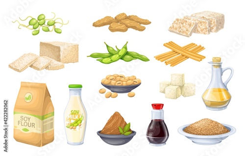 Soy product vector icon. Soy sprouts, tofu skin, coagulated soy milk, soybean, tempeh, miso, flour and ets.