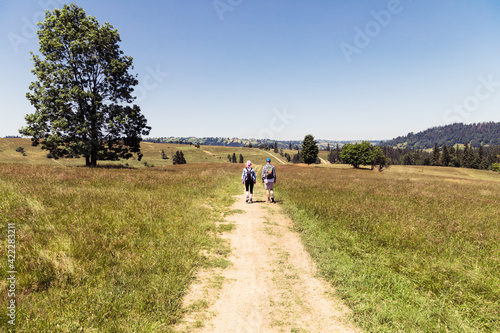 family walk along mountain trails © Ewelina