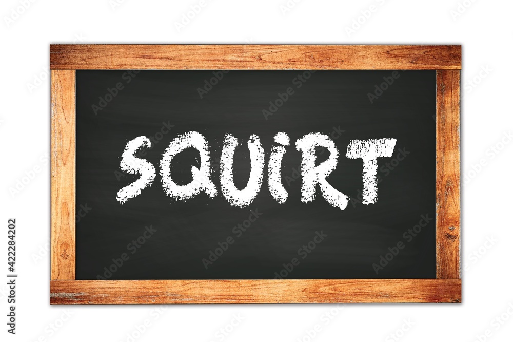 SQUIRT text written on wooden frame school blackboard. SQUIRT text written on wooden frame school blackboard.