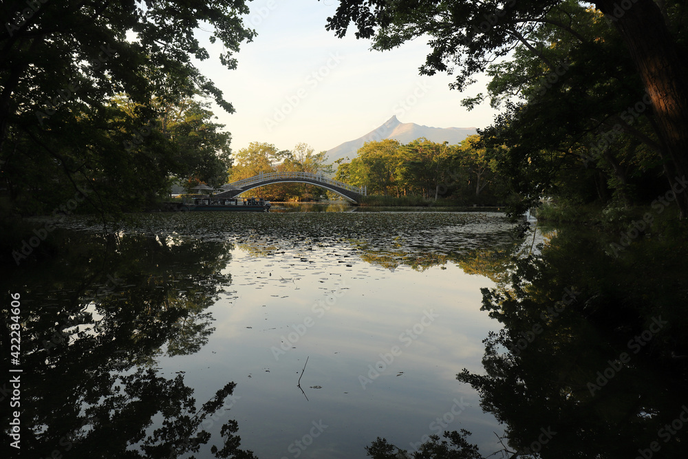 Obraz premium 夕暮れ時の大沼、木々の向こうに夕日に照らされた駒ヶ岳が見える