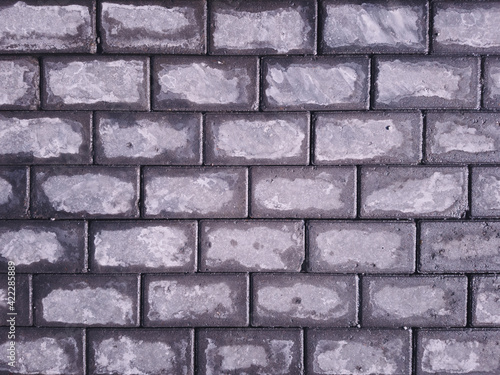 drying sidewalk after rain. paving slabs dry out