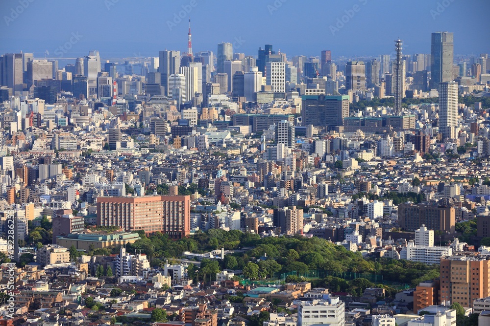 Naklejka premium Tokyo skyline - Minato