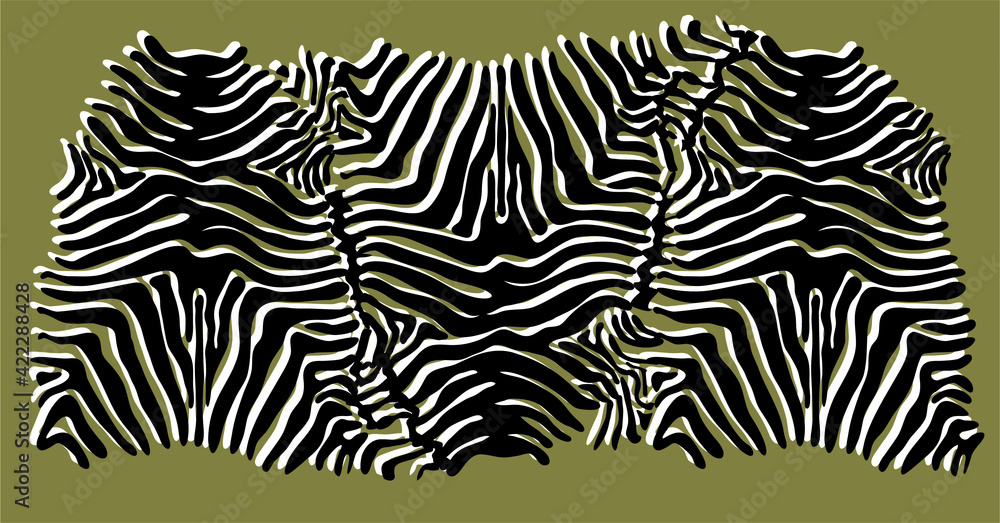 Zebra print vector illustration