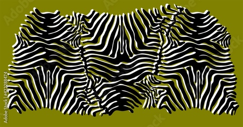 Zebra skin background. Animal print.