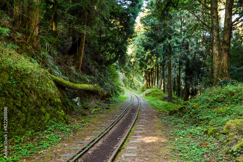 The old forest railway section of Alishan Forest Recreation Area in Chiayi  Taiwan  but is now obsolete and unable to operate