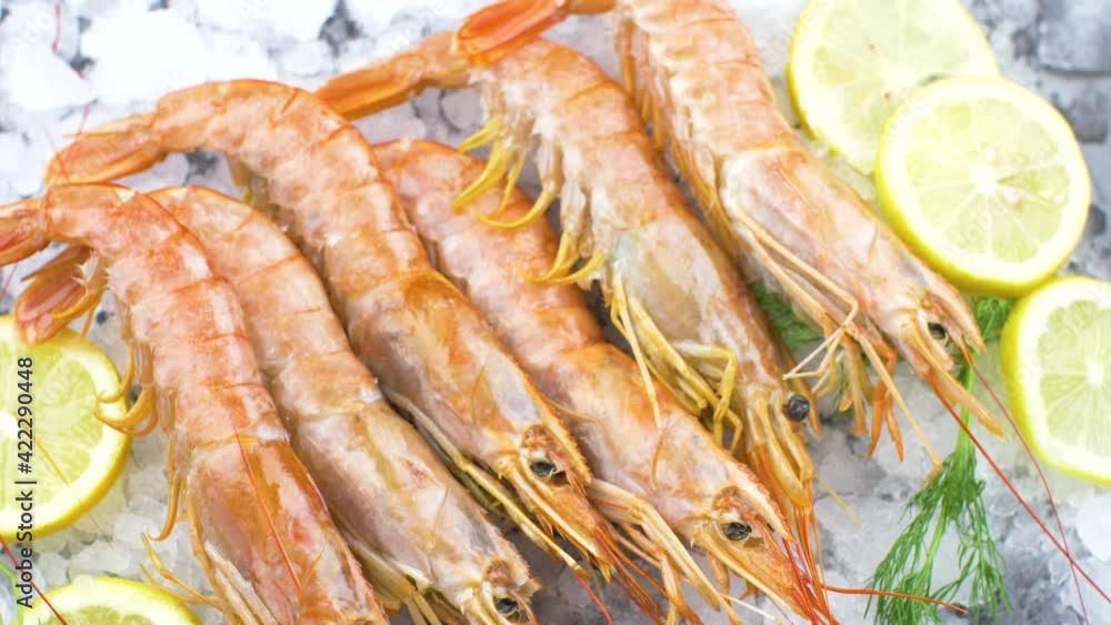 fresh shrimps on ice with salad and lemon slices fresh shrimps on ice with salad and lemon slices