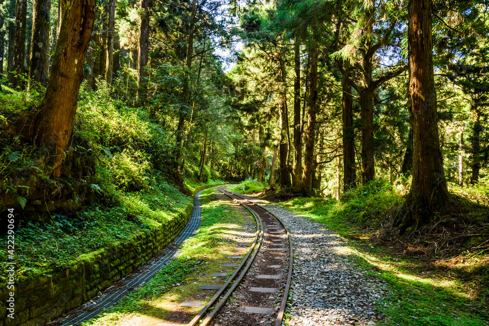 The old forest railway section of Alishan Forest Recreation Area in Chiayi, Taiwan, but is now obsolete and unable to operate The old forest railway section of Alishan Forest Recreation Area in Chiayi, Taiwan, but is now obsolete and unable to operate