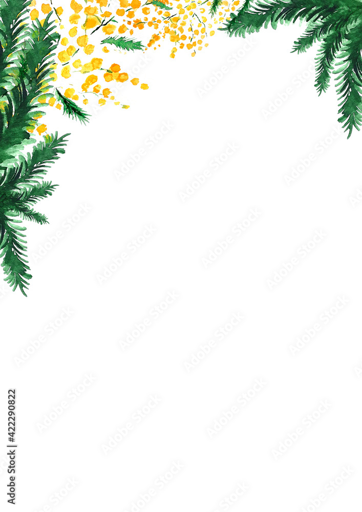 The mimosa branch frame is hand-painted in watercolour. Spring flowers for greeting cards, logo, design, cosmetics, medical and eco-friendly products.