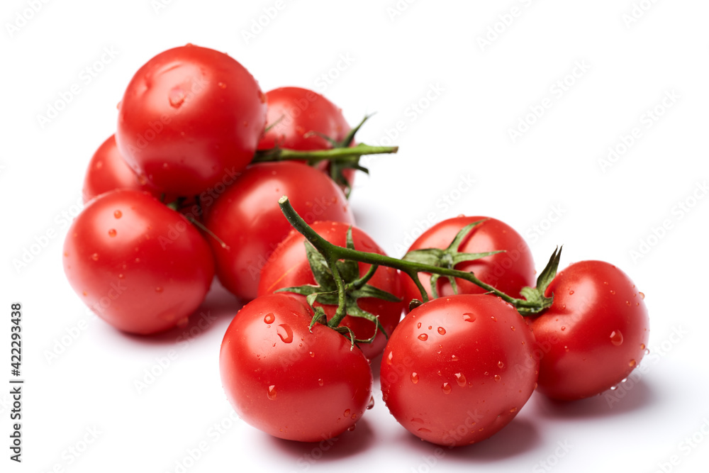 Italian tomatoes on vine isolated on white