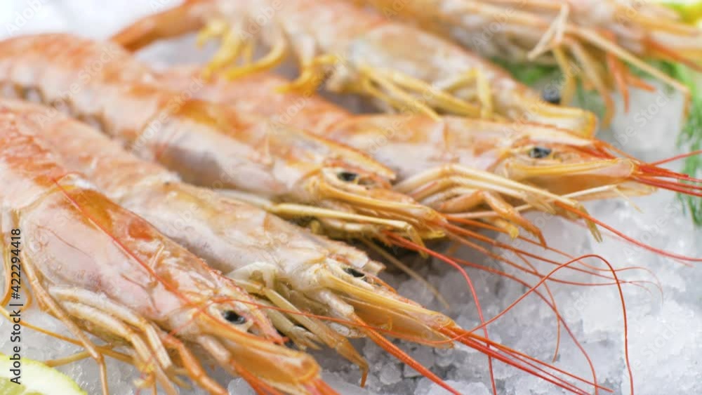 fresh shrimps on ice with salad and lemon slices fresh shrimps on ice with salad and lemon slices