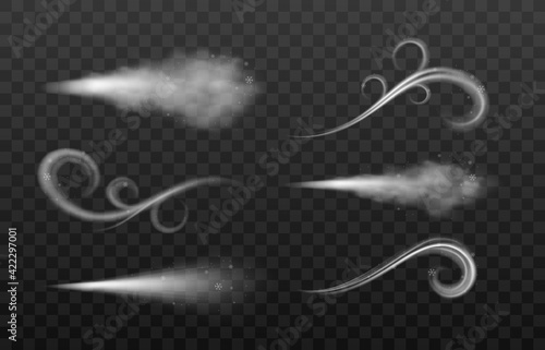 Winter wind blow, swirls of air with snow and whiffs of cold with snowflakes.