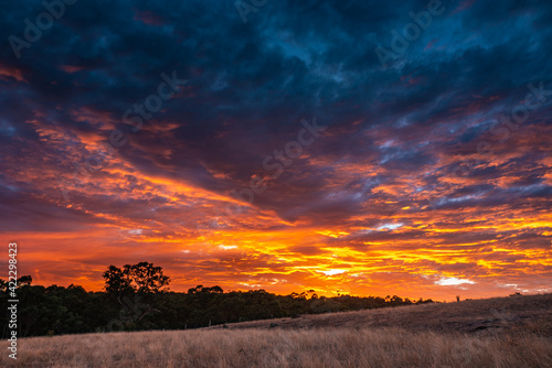 【自然風景】グランピアンズ国立公園からみる朝焼けの自然風景 オーストラリア 