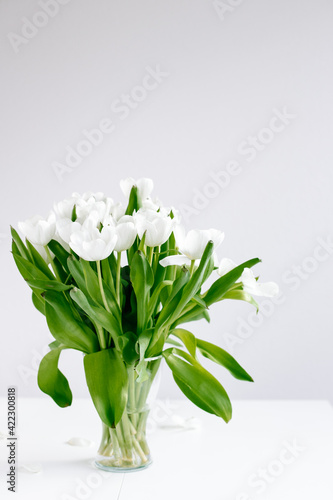 White tulips in a white background with minimalism and nordic look.