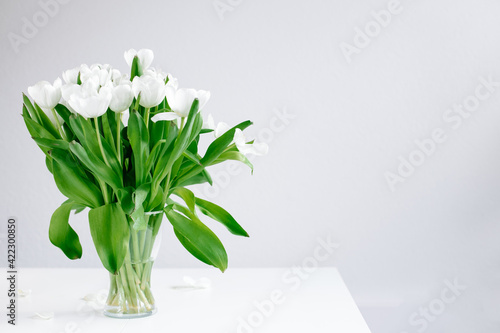 White tulips in a white background with minimalism and nordic look.