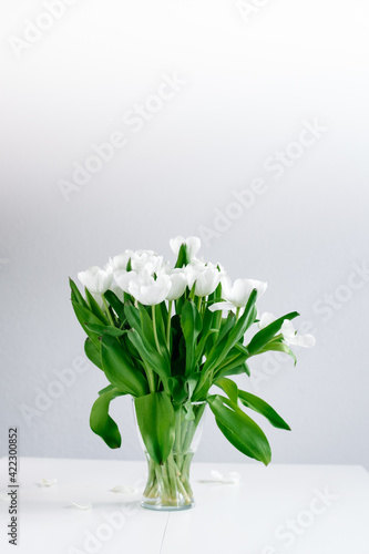 White tulips in a white background with minimalism and nordic look.