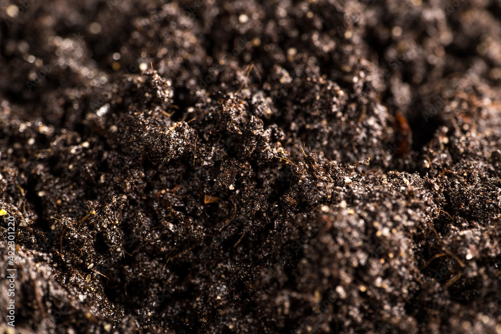 soil for growing vegetables in the garden soil for growing vegetables in the garden