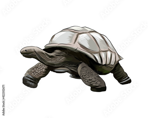 Fotografia Galapagos turtle from a splash of watercolor, colored drawing, realistic